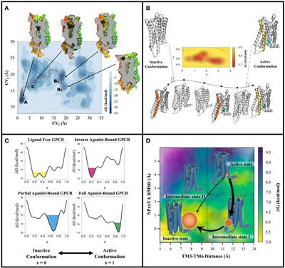 Metadynamics simulations leveraged by statistical analyses and artificial intelligence-based tools to inform the discovery of G protein-coupled receptor ligands